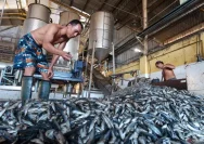 Pabrik Pengolahan Ikan 2 Putra Pati Terbakar, Mengancam Ketersediaan Ikan Segar
