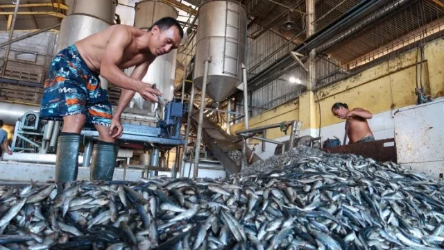 Pabrik Pengolahan Ikan 2 Putra Pati Terbakar, Mengancam Ketersediaan Ikan Segar