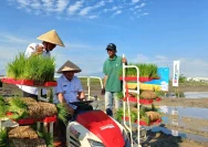 Pekalongan Kembali Produktif: 50 Hektare Lahan Sawah Siap Ditanami