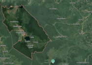 Pemekaran Kerinci Hilir Lebih Dekat? DPR RI Dorong Pemerintah Percepat Aturan Daerah Otonom