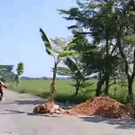 Pemerintah Jawa Tengah Perbaiki Jalan Randublatung-Cepu dengan Anggaran Rp 5,276 Miliar