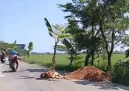 Pemerintah Jawa Tengah Perbaiki Jalan Randublatung-Cepu dengan Anggaran Rp 5,276 Miliar