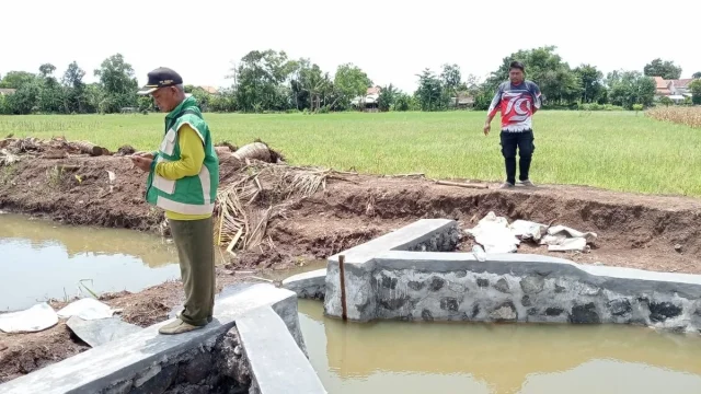 Pemerintah Jember Tantang Ketahanan Pangan dengan Oplah dan Irigasi Pompa
