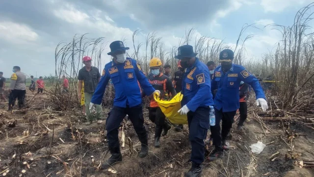 Petani di Pati Tewas Terjebak Api saat Bersihkan Lahan Tebu