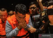 Raffi Ahmad Dituduh Terlibat Kasus Blueray di Bea Cukai