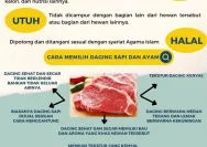 Rahasia Sehat dari Daging: Takaran dan Cara Aman Konsumsi yang Tepat