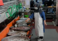 Repdem Desak Kejagung Bekukan Dapur MBG di Purwakarta yang Terafiliasi Dengan Tiga Petinggi BGN