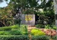 Revitalisasi Bandung Zoo: Pemkot Bandung Siapkan Langkah Baru