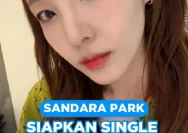 Sandara Park Merilis Single Baru dengan Konsep Musik Band