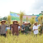 Sawah Pasca Panen Raya Hancur Dikeruk PETI, Warga Bukit Batu Merangin Minta Aparat Bertindak Tegas
