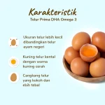 Telur Omega-3: Manfaat dan Fakta yang Perlu Diketahui