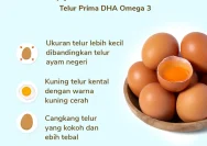 Telur Omega-3: Manfaat dan Fakta yang Perlu Diketahui