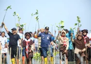Wagub Jateng Taj Yasin Ajak Ratusan Santri Tanam Mangrove di Pesisir Pantai Rembang