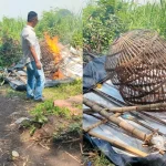 Warga Brambang Berhasil Membasmi Arena Sabung Ayam yang Meresahkan